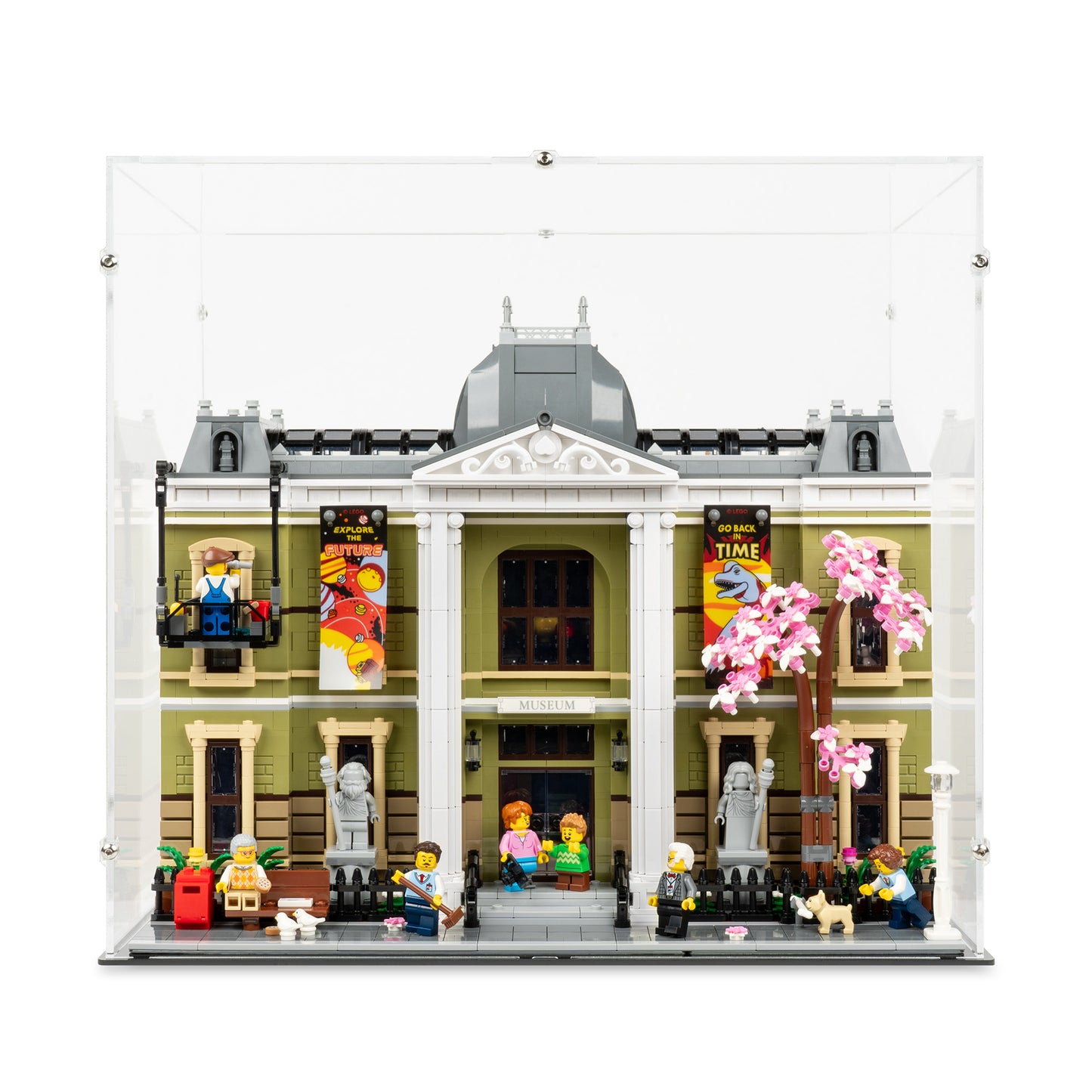 Front view of LEGO 10326 Natural History Museum Display Case.