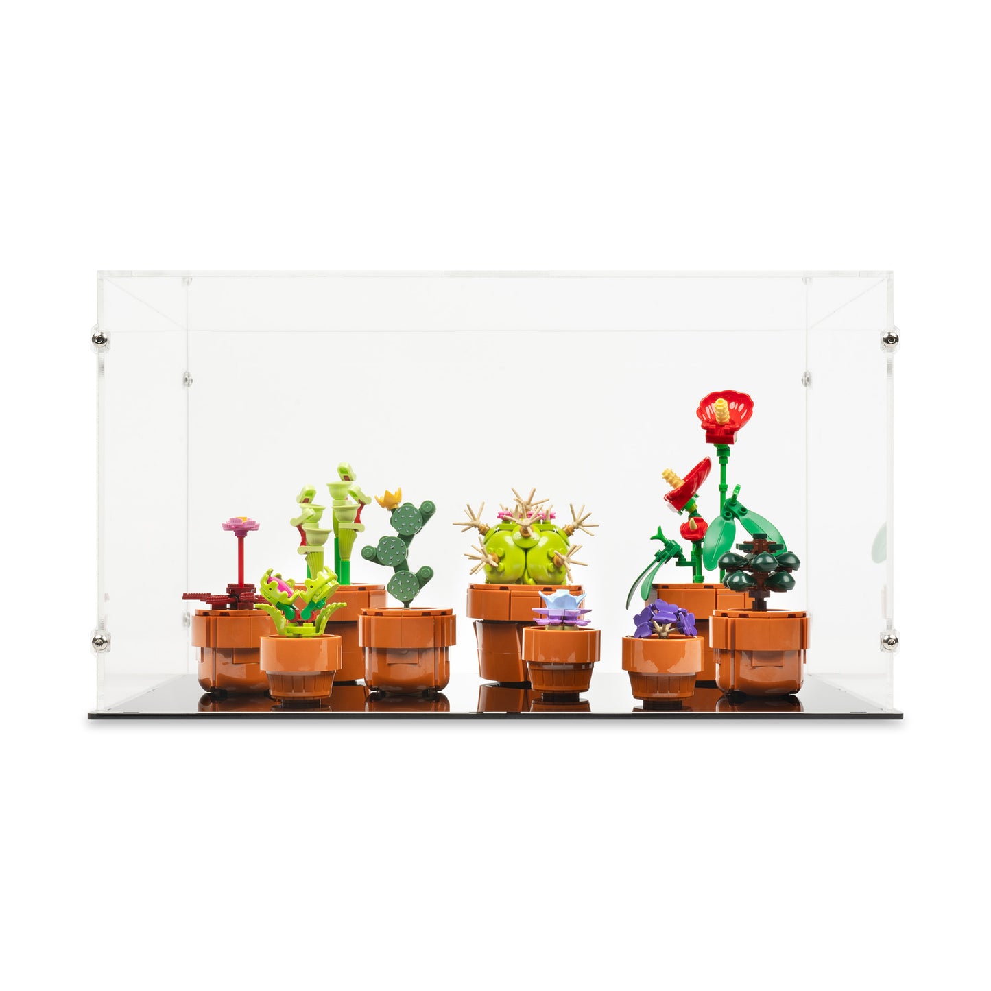 Front view of LEGO 10329 Tiny Plants Display Case.