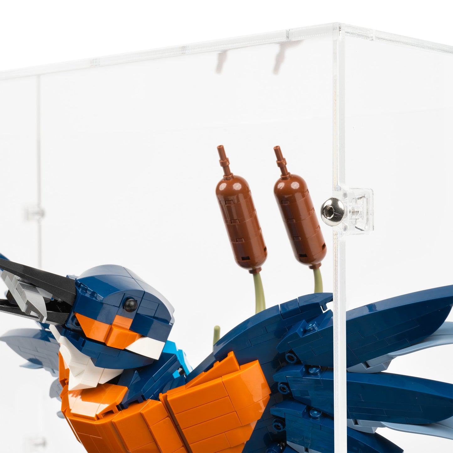 Fitting detail view of LEGO 10331 Kingfisher Bird Display Case.