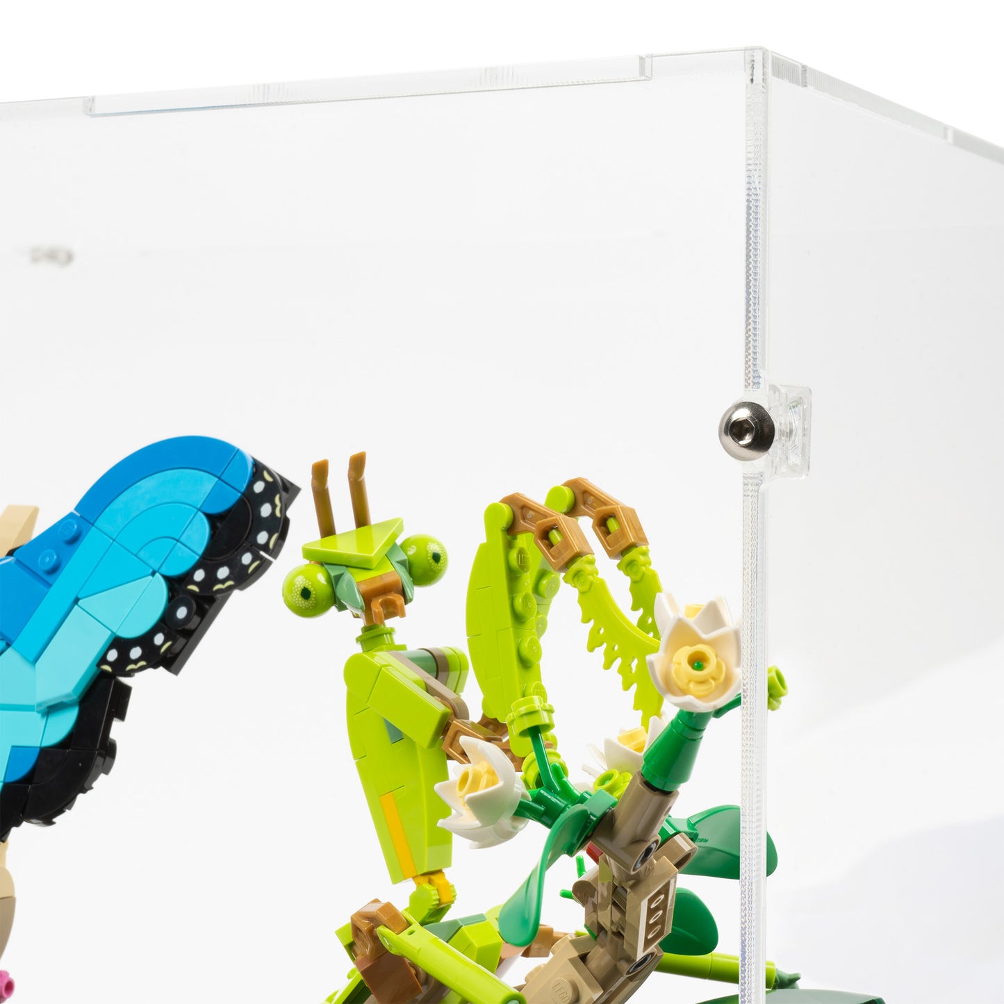 Fitting detail view of LEGO 21342 The Insect Collection Display Case.