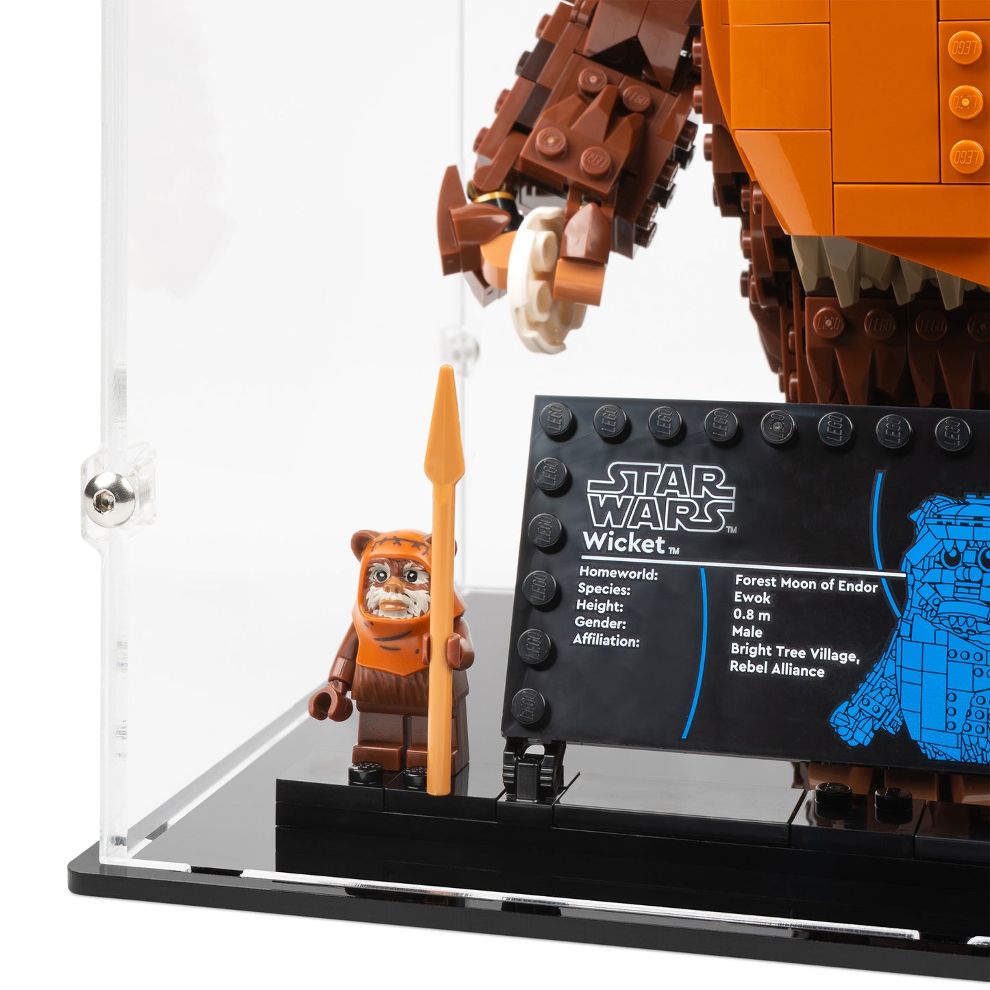 Plaque detail view of LEGO 75430 Wicket the Ewok Display Case.