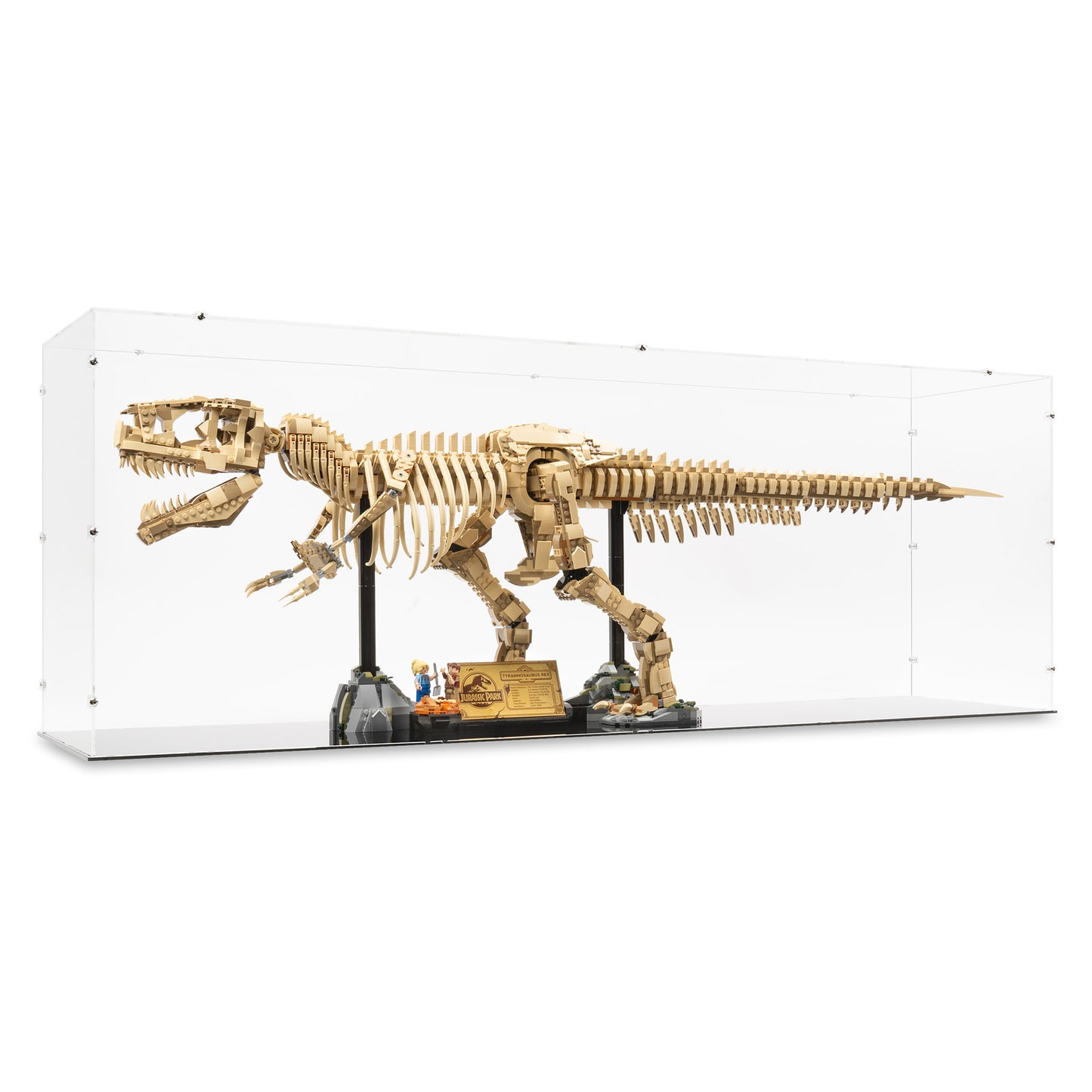Angled view of LEGO 76968 Dinosaur Fossils Tyrannosaurus rex Display Case.