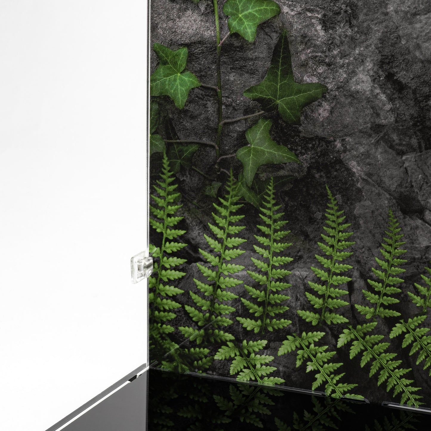 Corner detail view of LEGO 76968 Dinosaur Fossils Tyrannosaurus rex Display Case with a UV printed background.