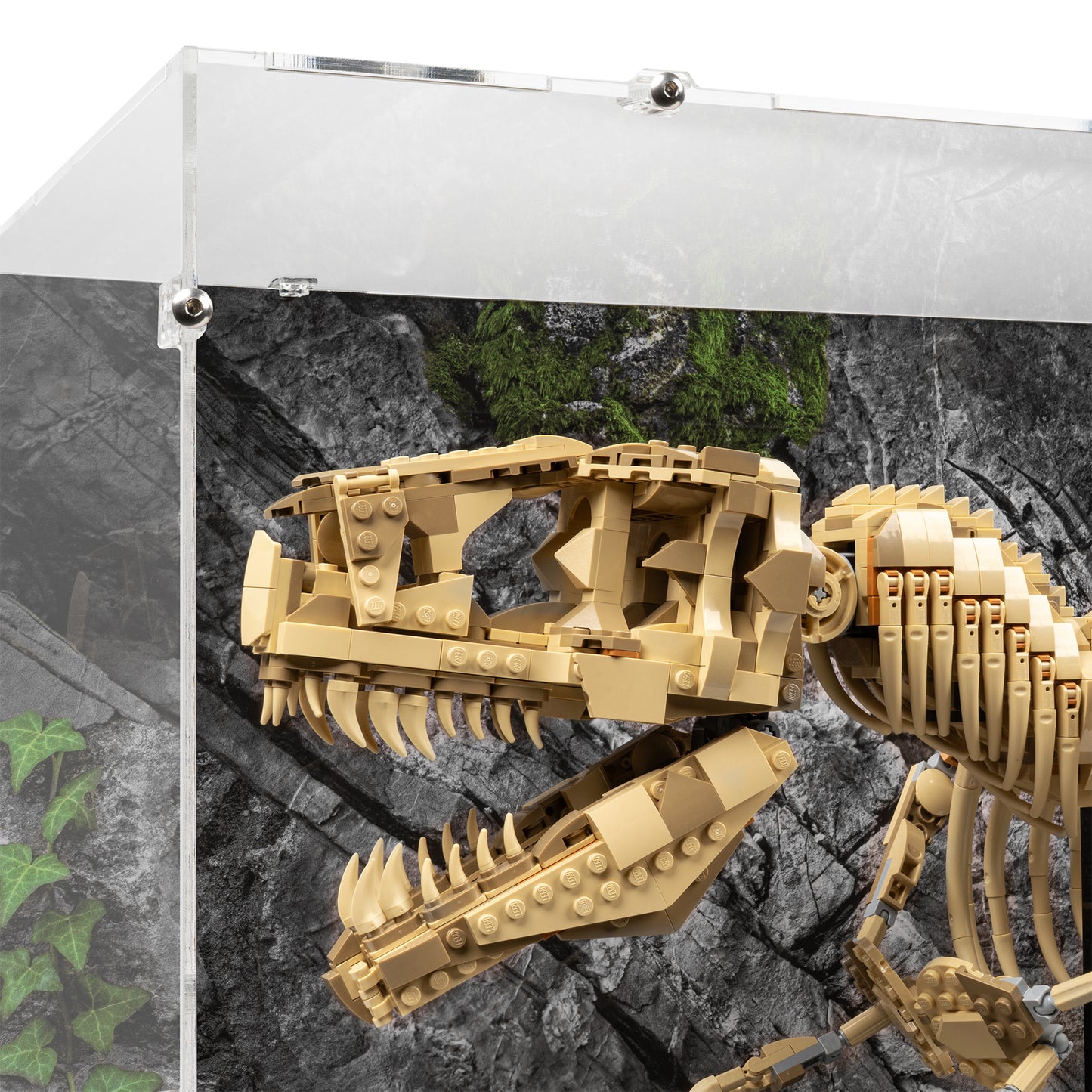 Fitting detail view of LEGO 76968 Dinosaur Fossils Tyrannosaurus rex Display Case with a UV printed background.