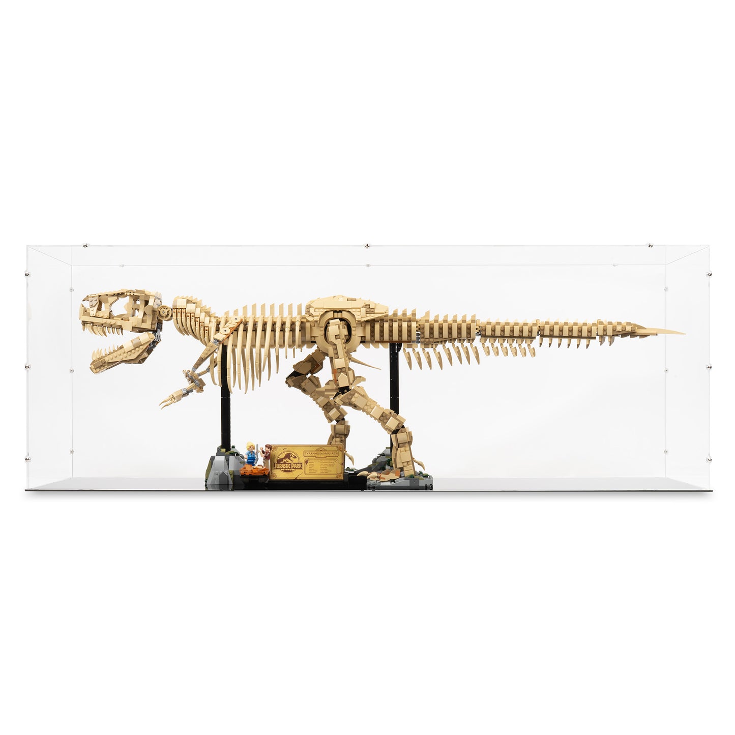 Front view of LEGO 76968 Dinosaur Fossils Tyrannosaurus rex Display Case.