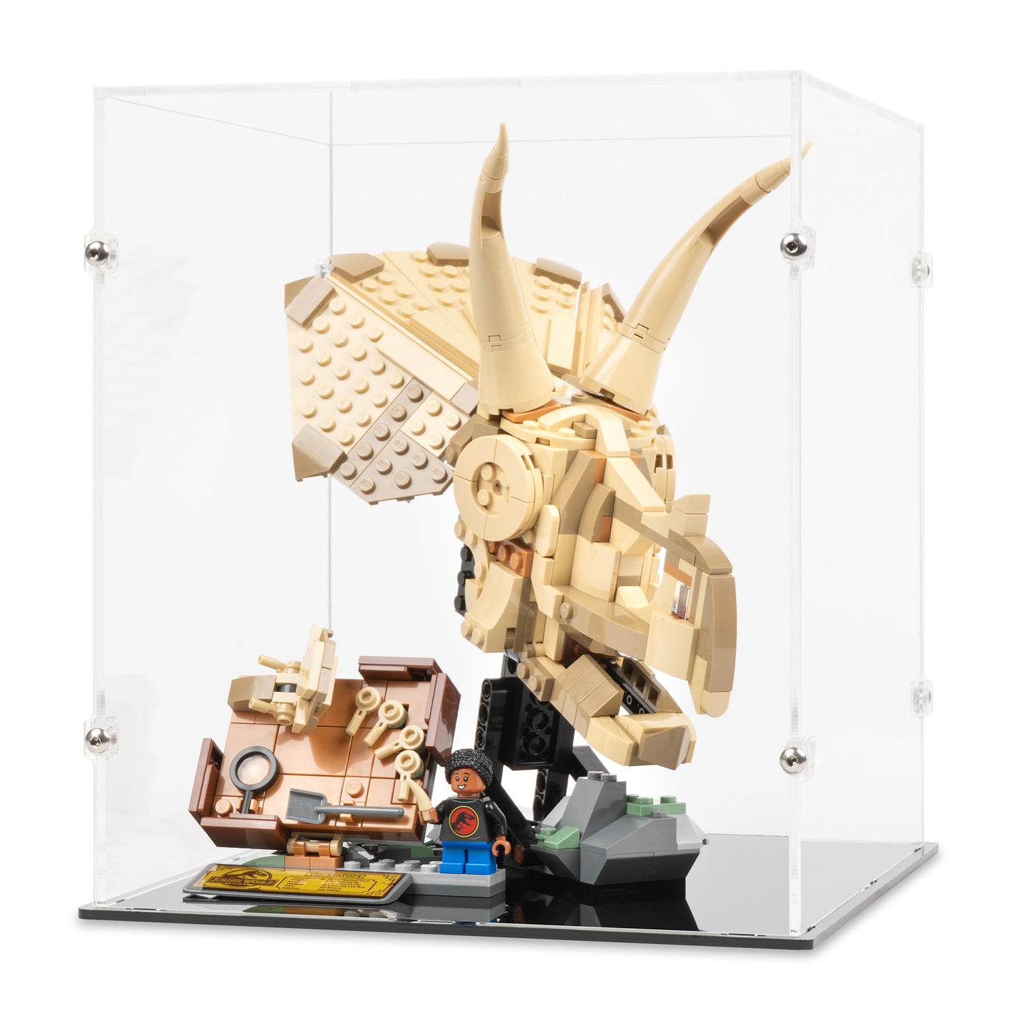 Angled view of LEGO 76969 Dinosaur Fossils Triceratops Skull Display Case.