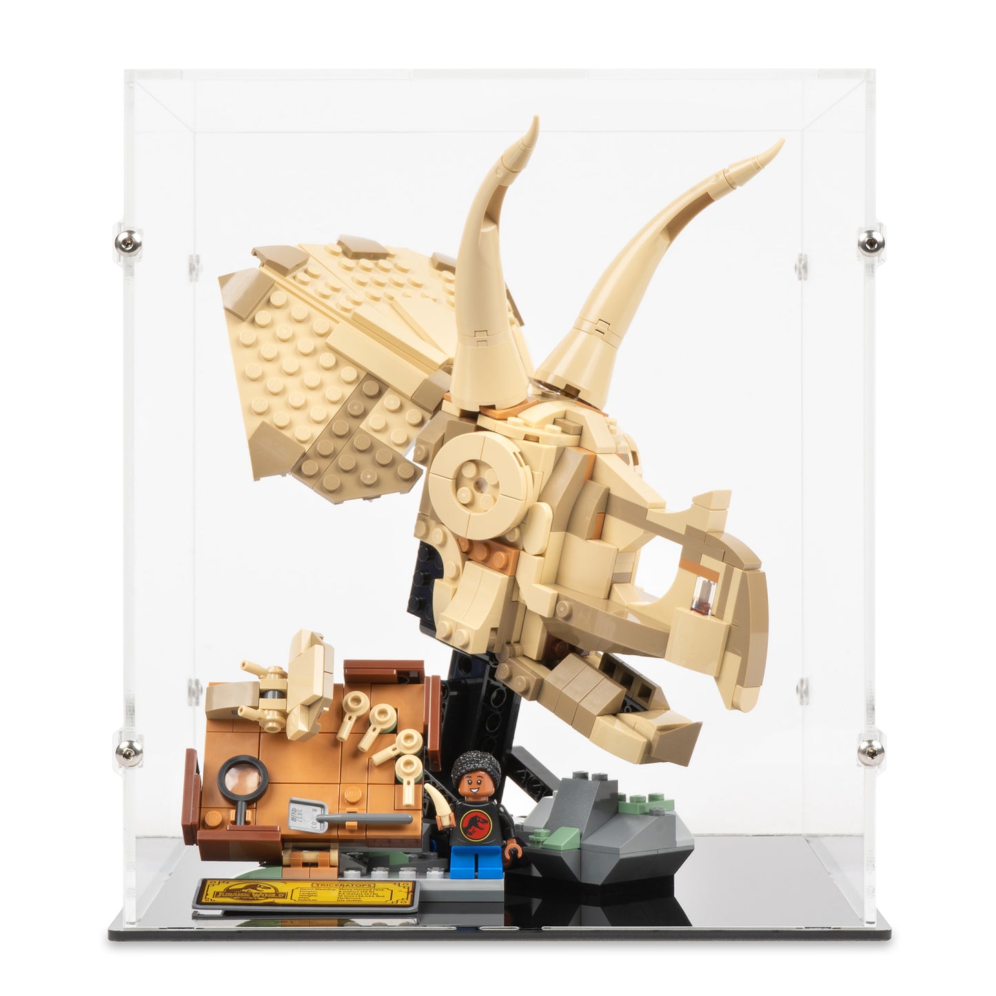 Front view of LEGO 76969 Dinosaur Fossils Triceratops Skull Display Case.