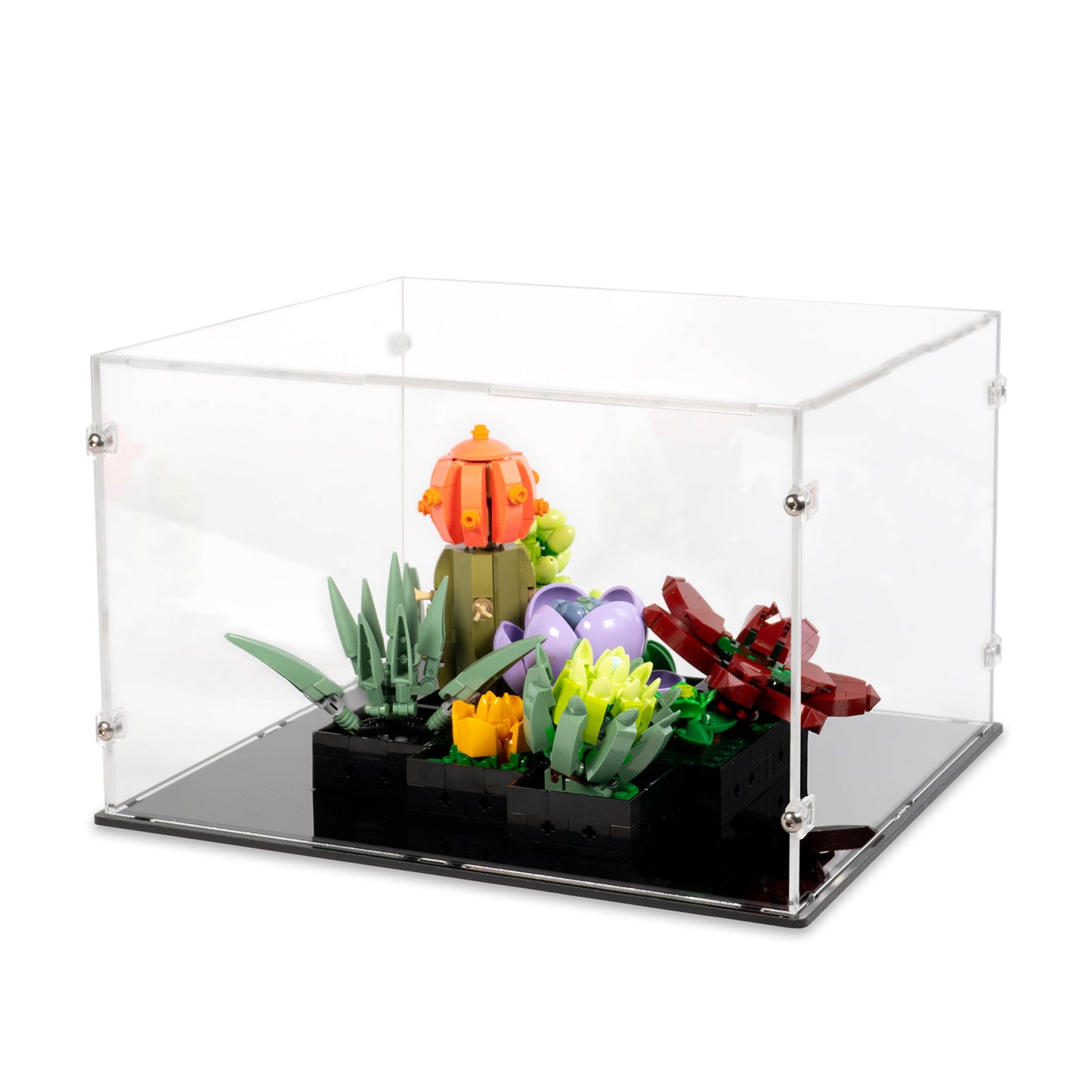 Angled top view of LEGO 10309 Succulents Display Case.
