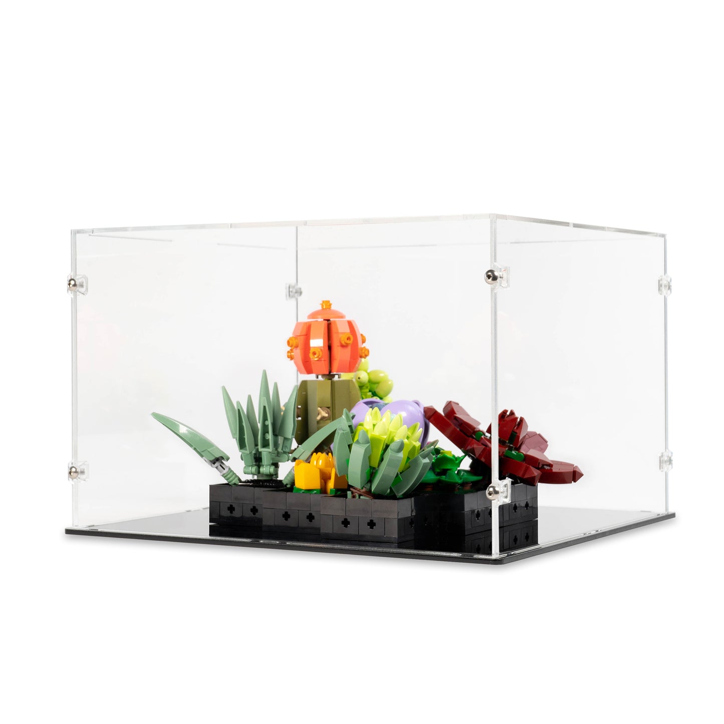 Angled view of LEGO 10309 Succulents Display Case.