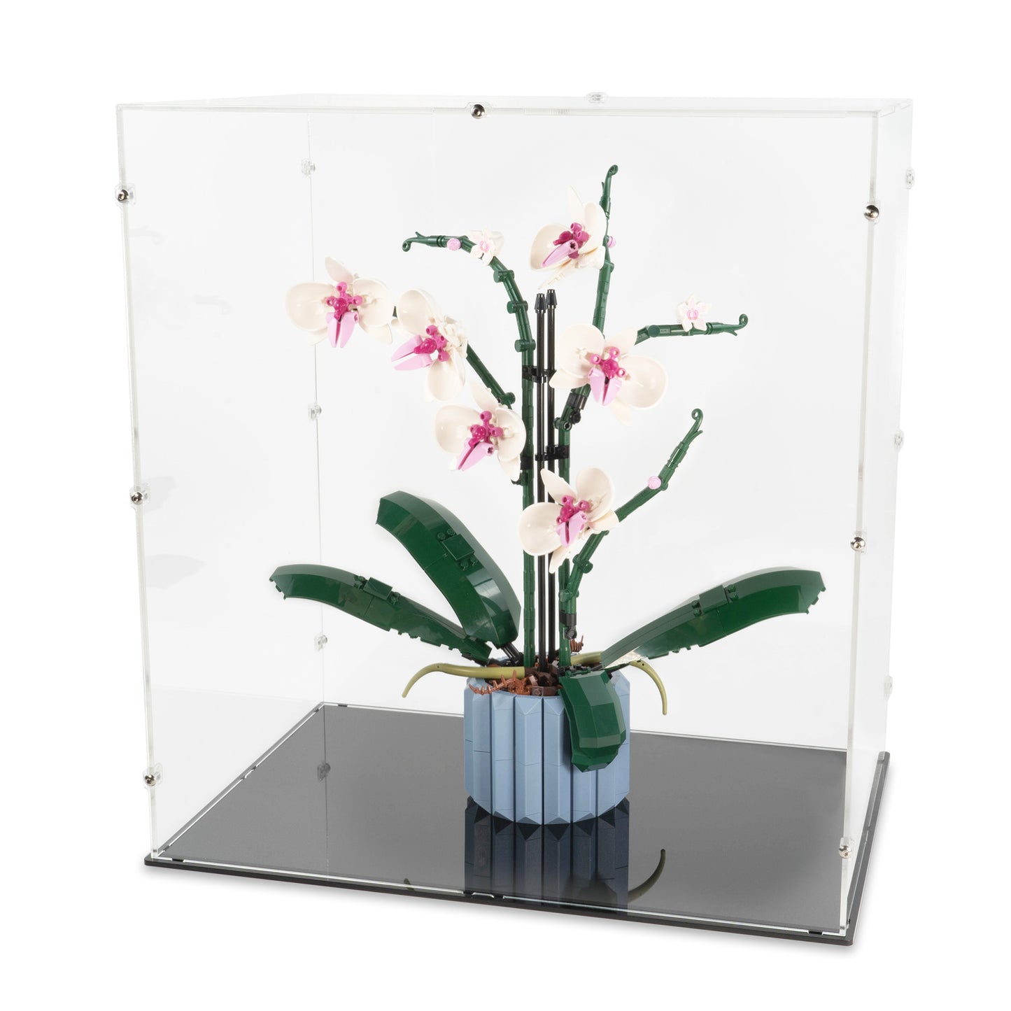 Angled top view of LEGO 10311 Orchid Display Case.