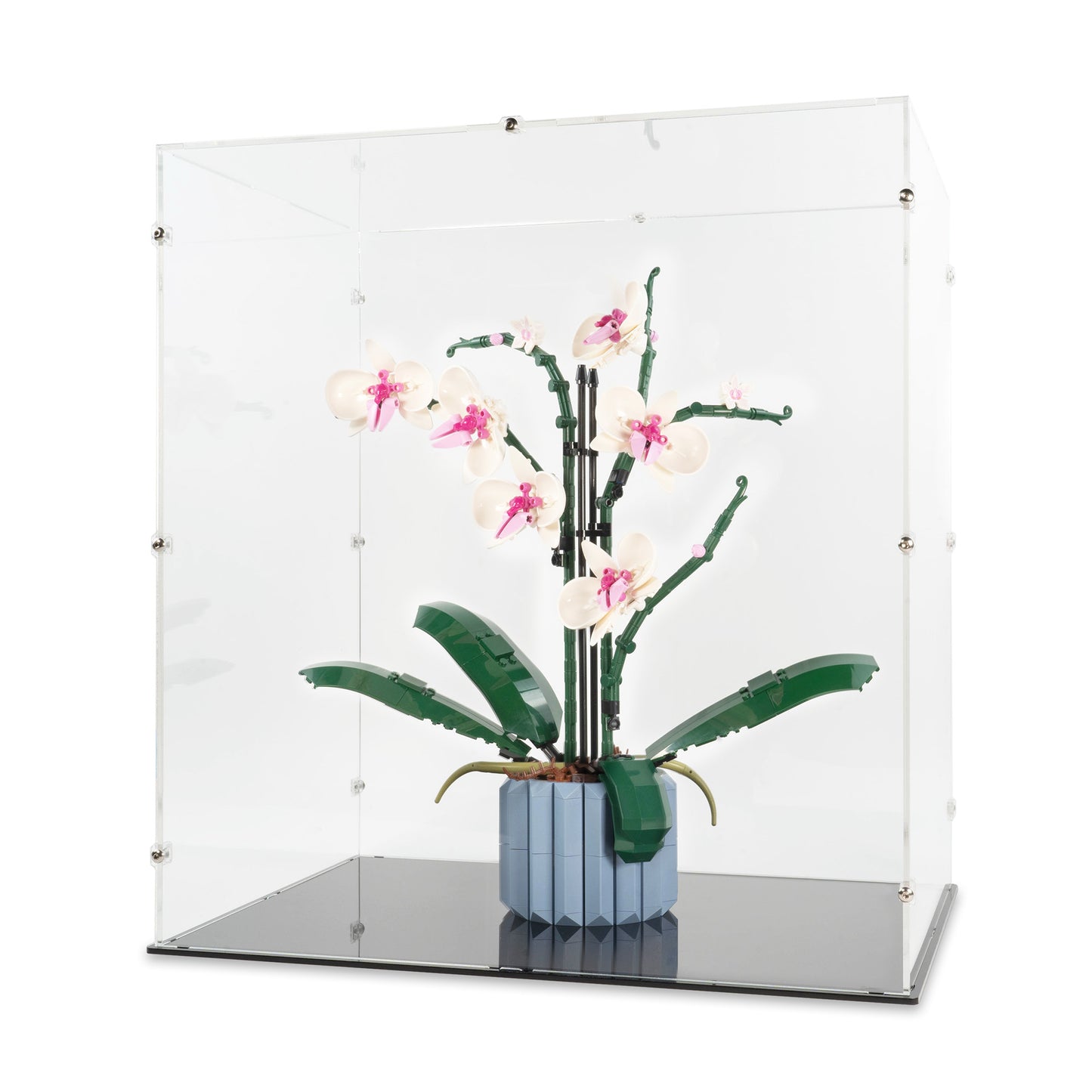 Angled view of LEGO 10311 Orchid Display Case.