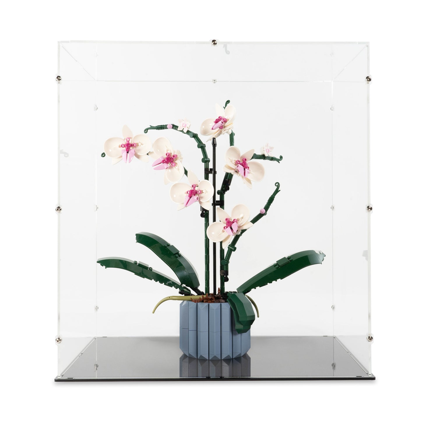 Front view of LEGO 10311 Orchid Display Case.
