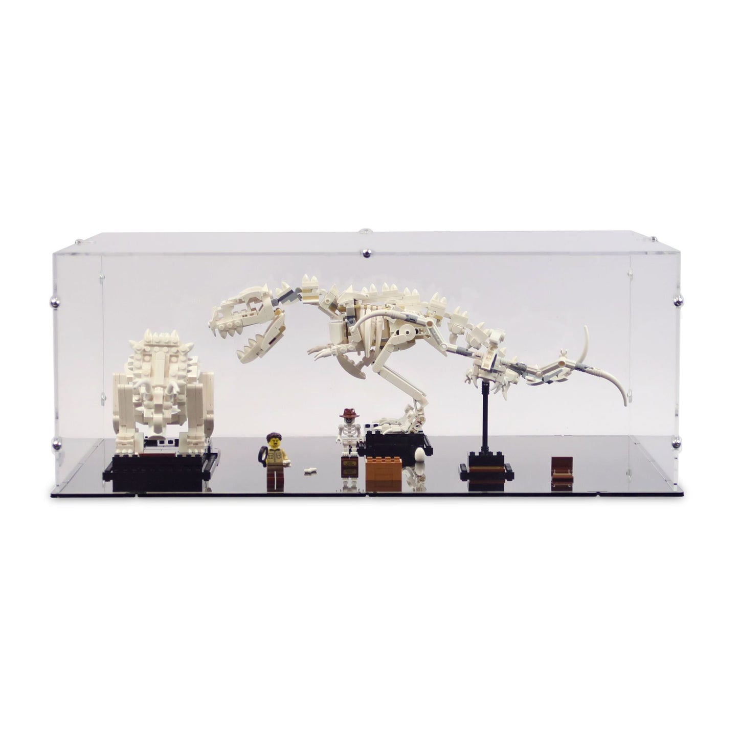 21320 Dinosaur Fossils Display Case