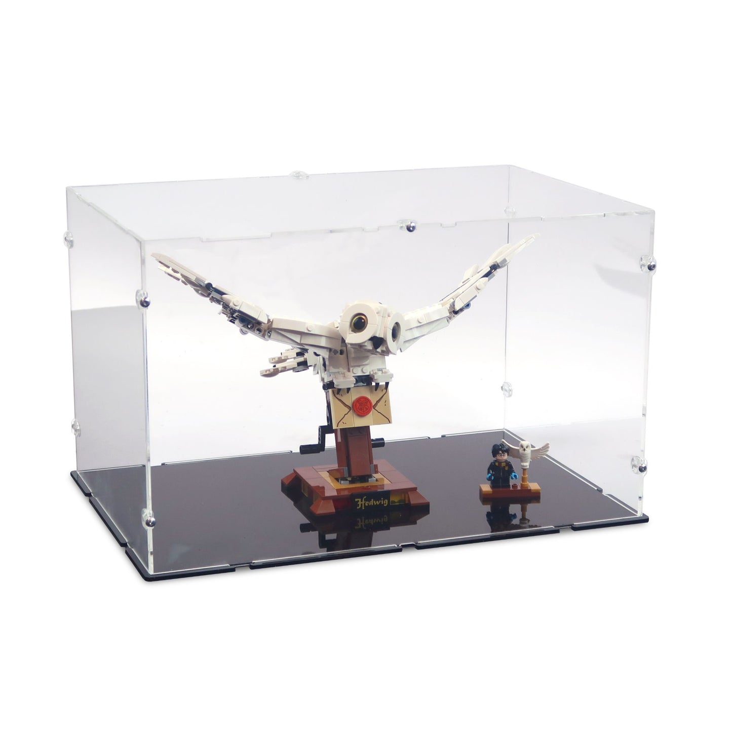 75979 Hedwig Display Case