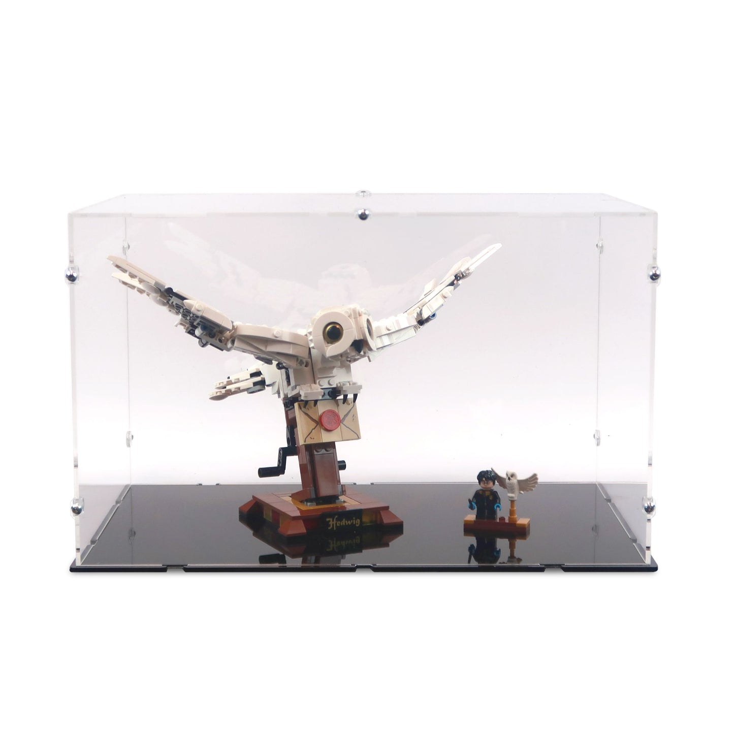 75979 Hedwig Display Case