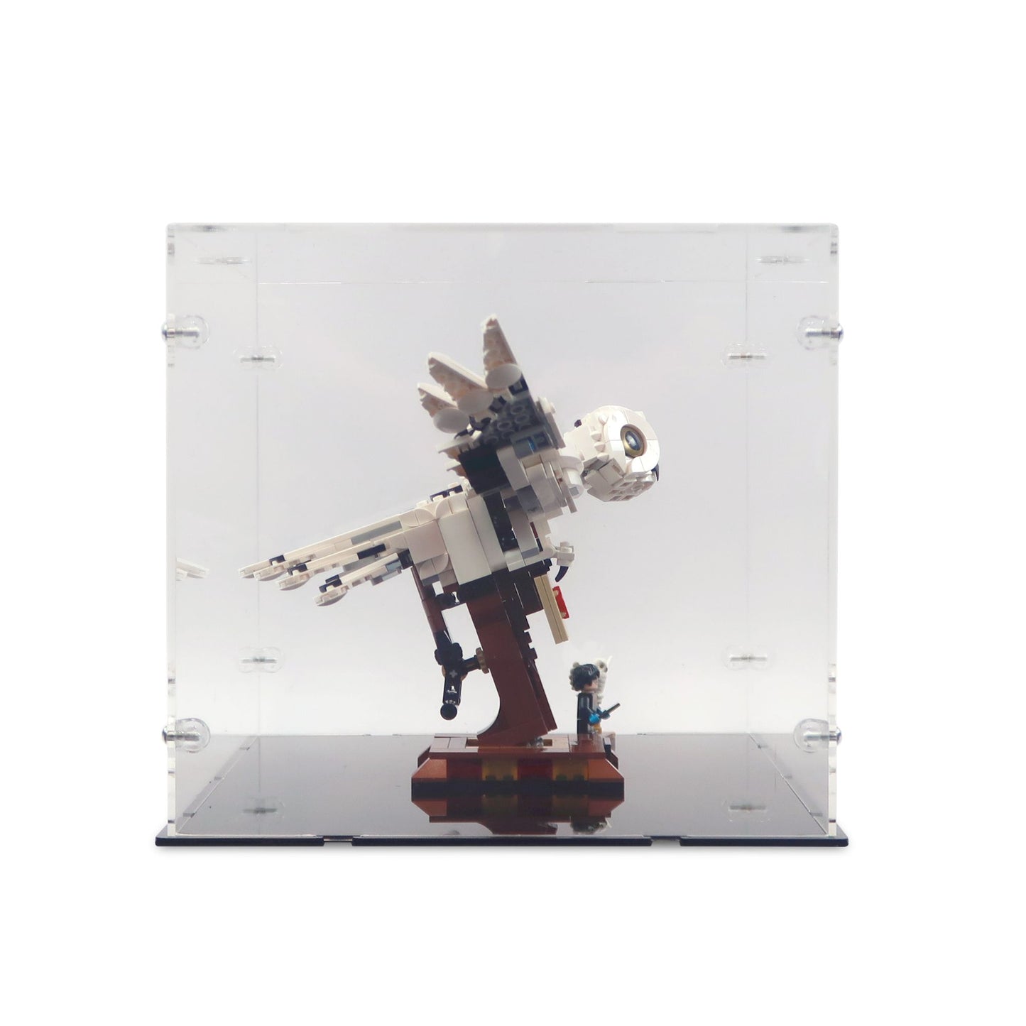 75979 Hedwig Display Case