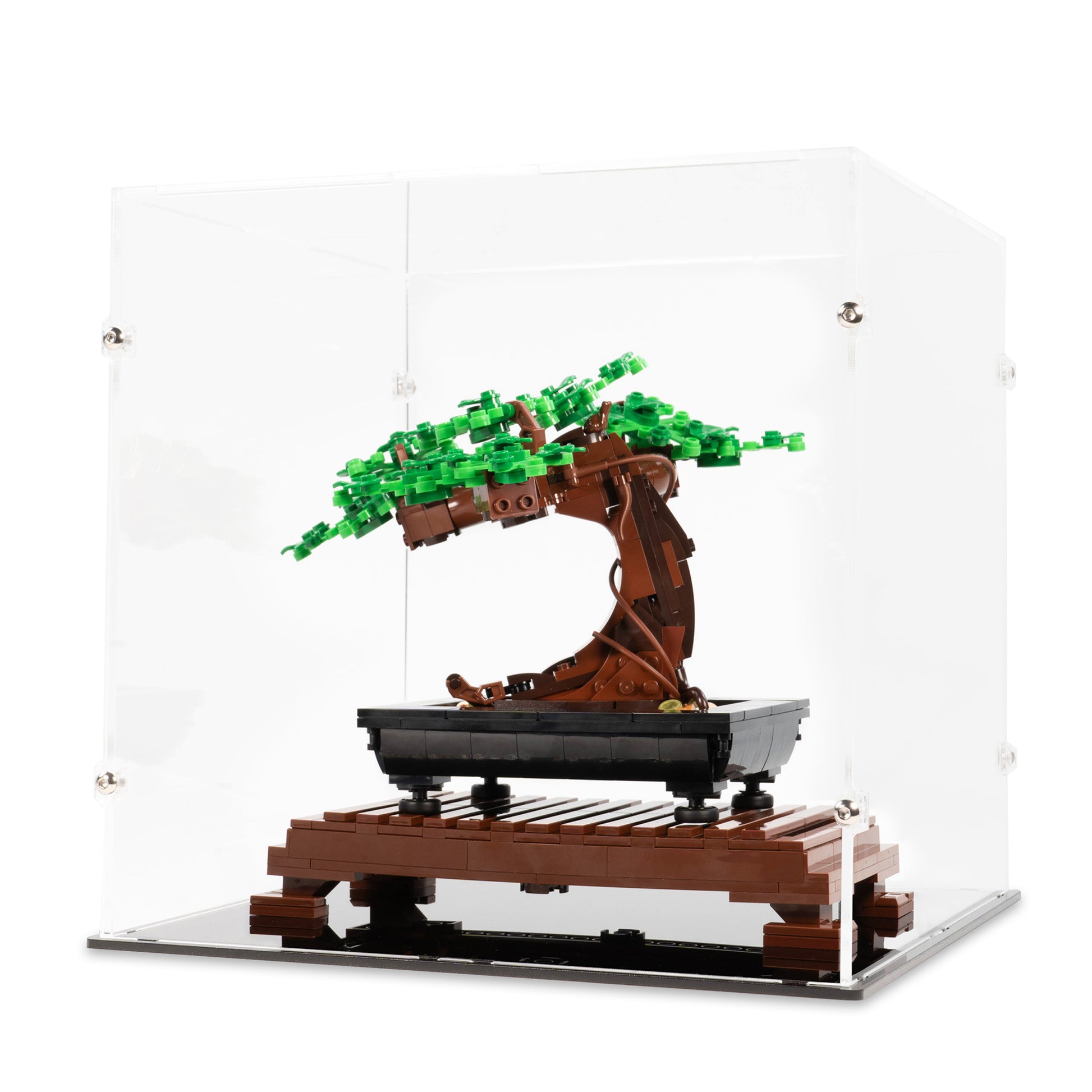10281 bonsai tree Bonsai Tree Display Case
