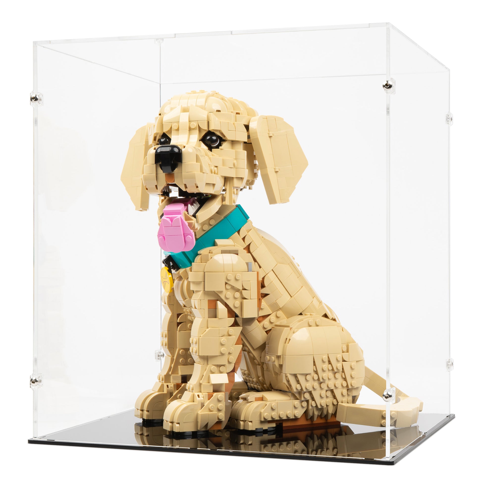 Angled view of LEGO 11384 Golden Retriever Puppy Display Case.
