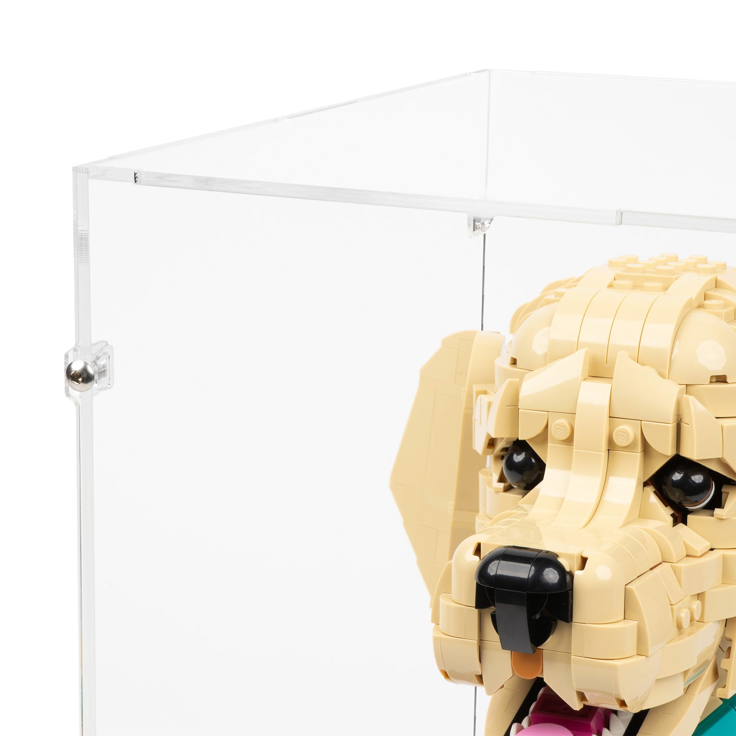Top fitting detail view of LEGO 11384 Golden Retriever Puppy Display Case.