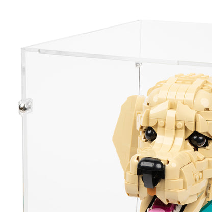 Top fitting detail view of LEGO 11384 Golden Retriever Puppy Display Case.