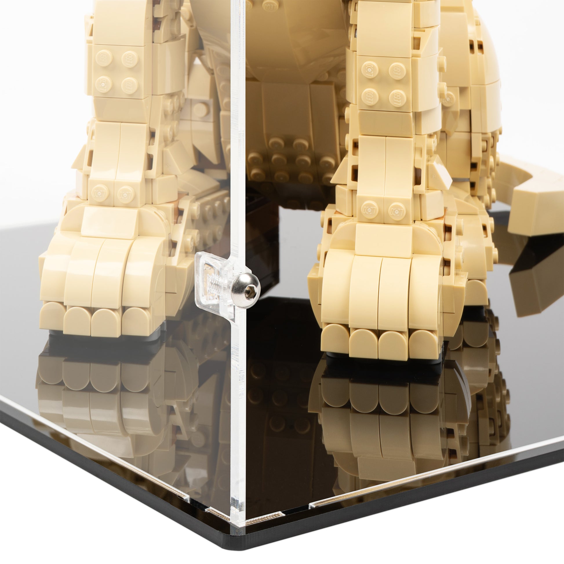 Bottom fitting detail view of LEGO 11384 Golden Retriever Puppy Display Case.
