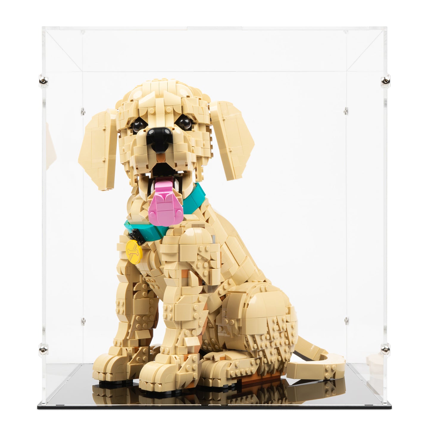 Front view of LEGO 11384 Golden Retriever Puppy Display Case.