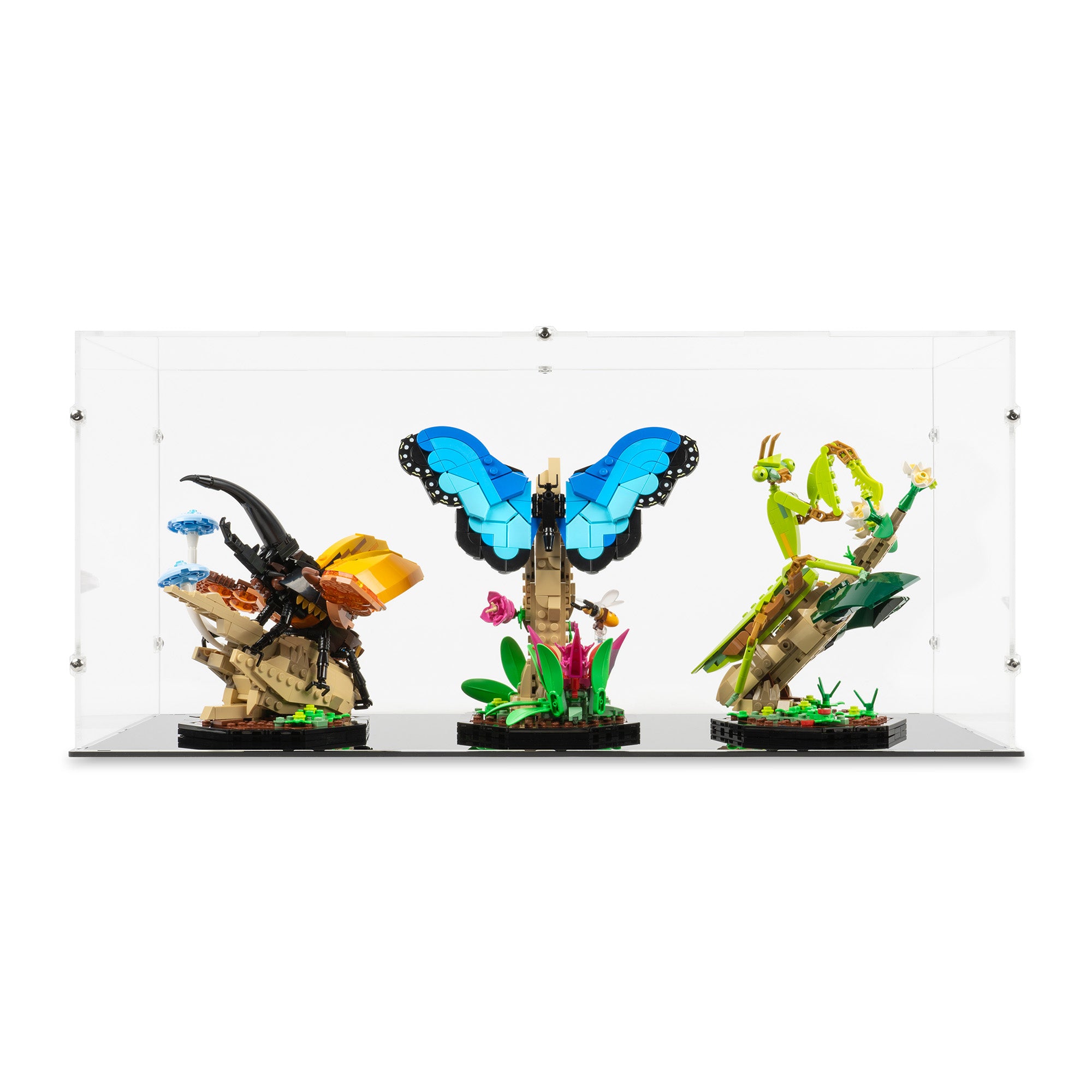 Bug Collection Case LEGO® The Insect Collection Display Case (21342) – Kingdom Brick Supply