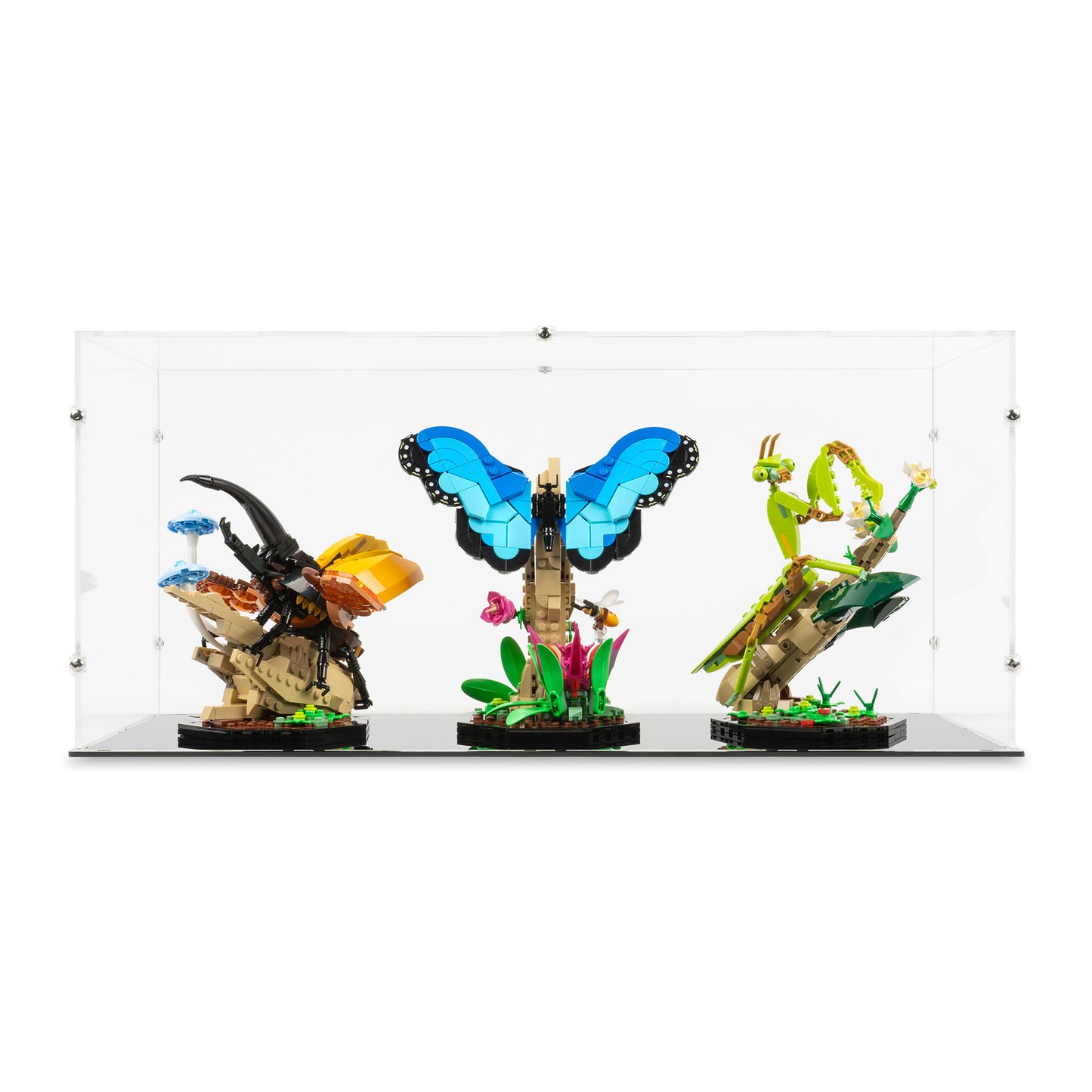 Front view of LEGO 21342 The Insect Collection Display Case.