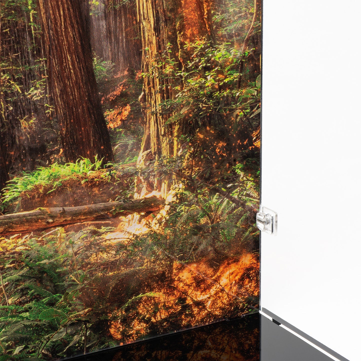 Fire detail view of LEGO 75417 UCS AT-ST Walker Display Case with a UV printed background.