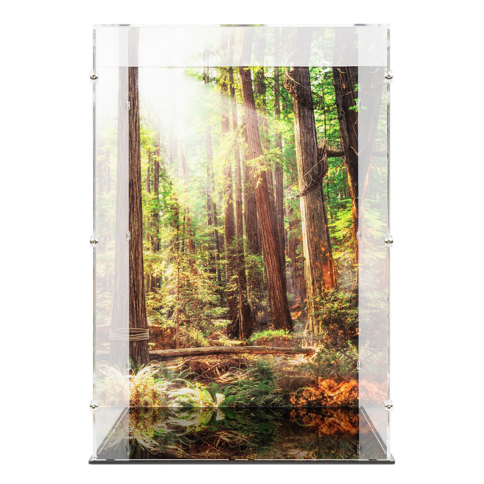 Front view of empty LEGO 75417 UCS AT-ST Walker Display Case with a UV printed background.