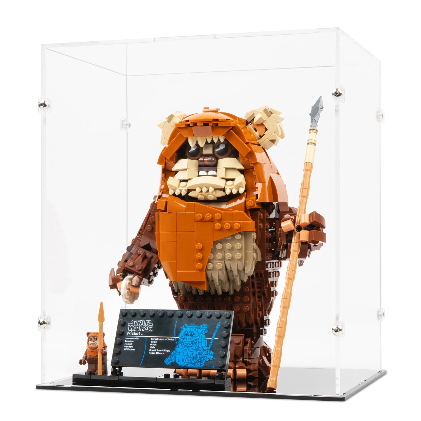 Angled view of LEGO 75430 Wicket the Ewok Display Case.