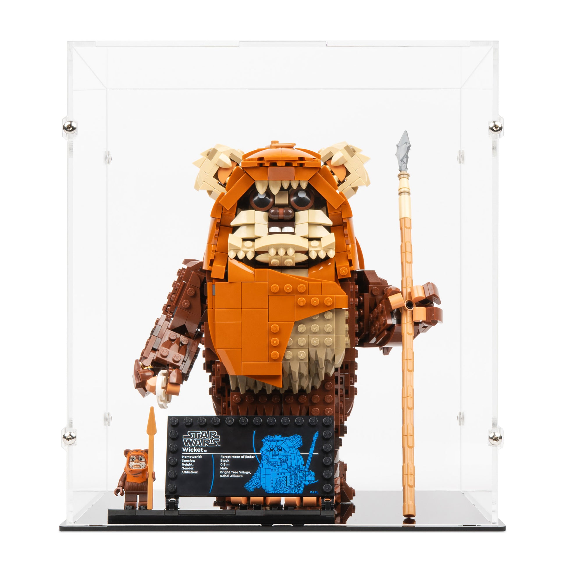 Front view of LEGO 75430 Wicket the Ewok Display Case.