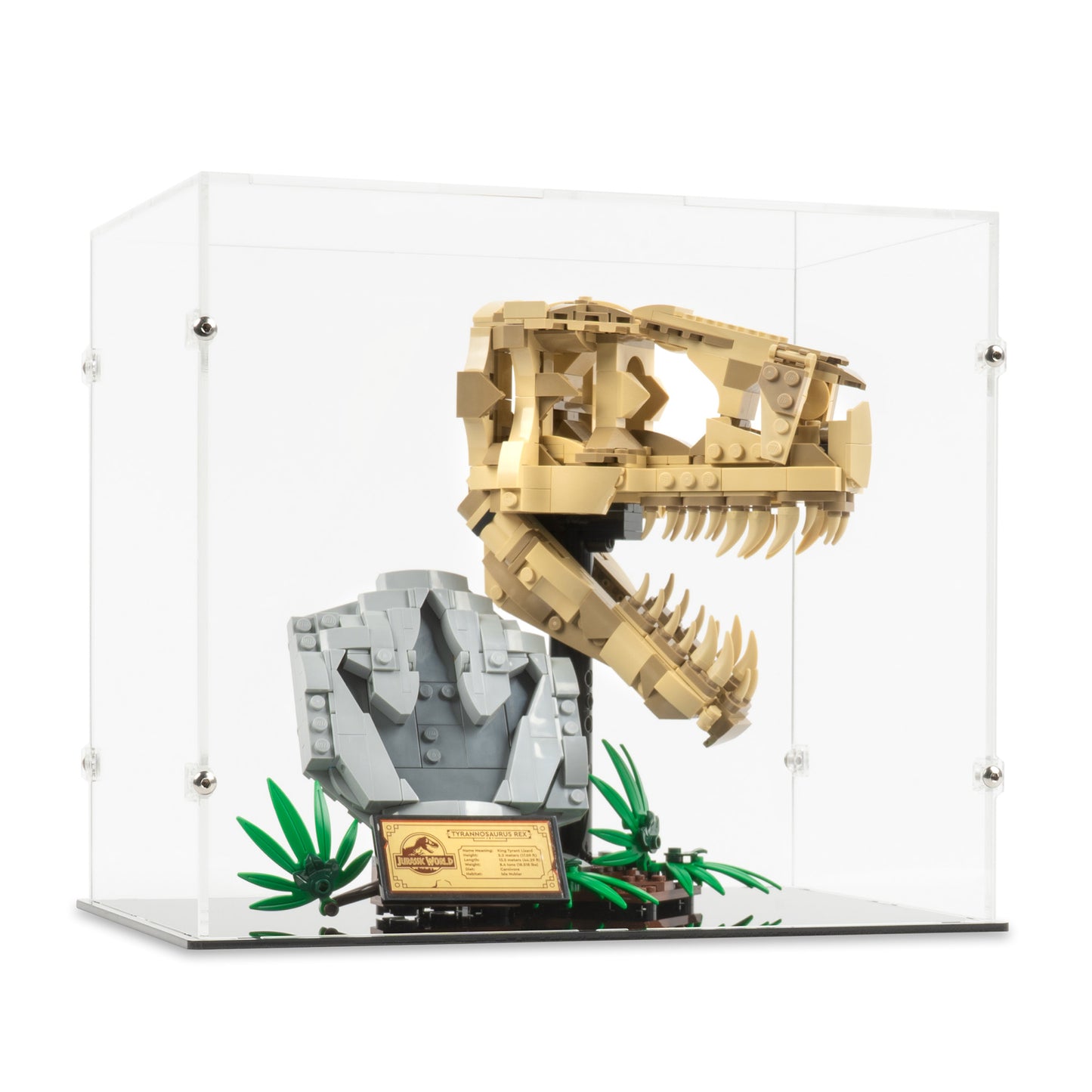 Angled view of LEGO 76964 Dinosaur Fossils T. rex Skull Display Case.