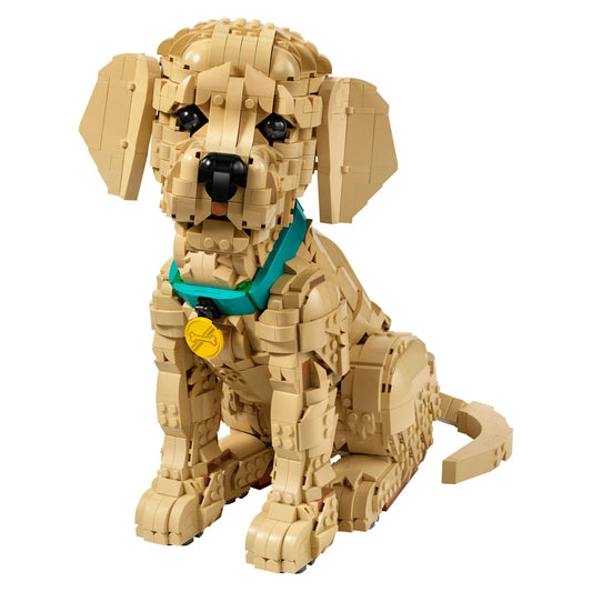 LEGO® Golden Retriever Puppy Display Case (11384)
