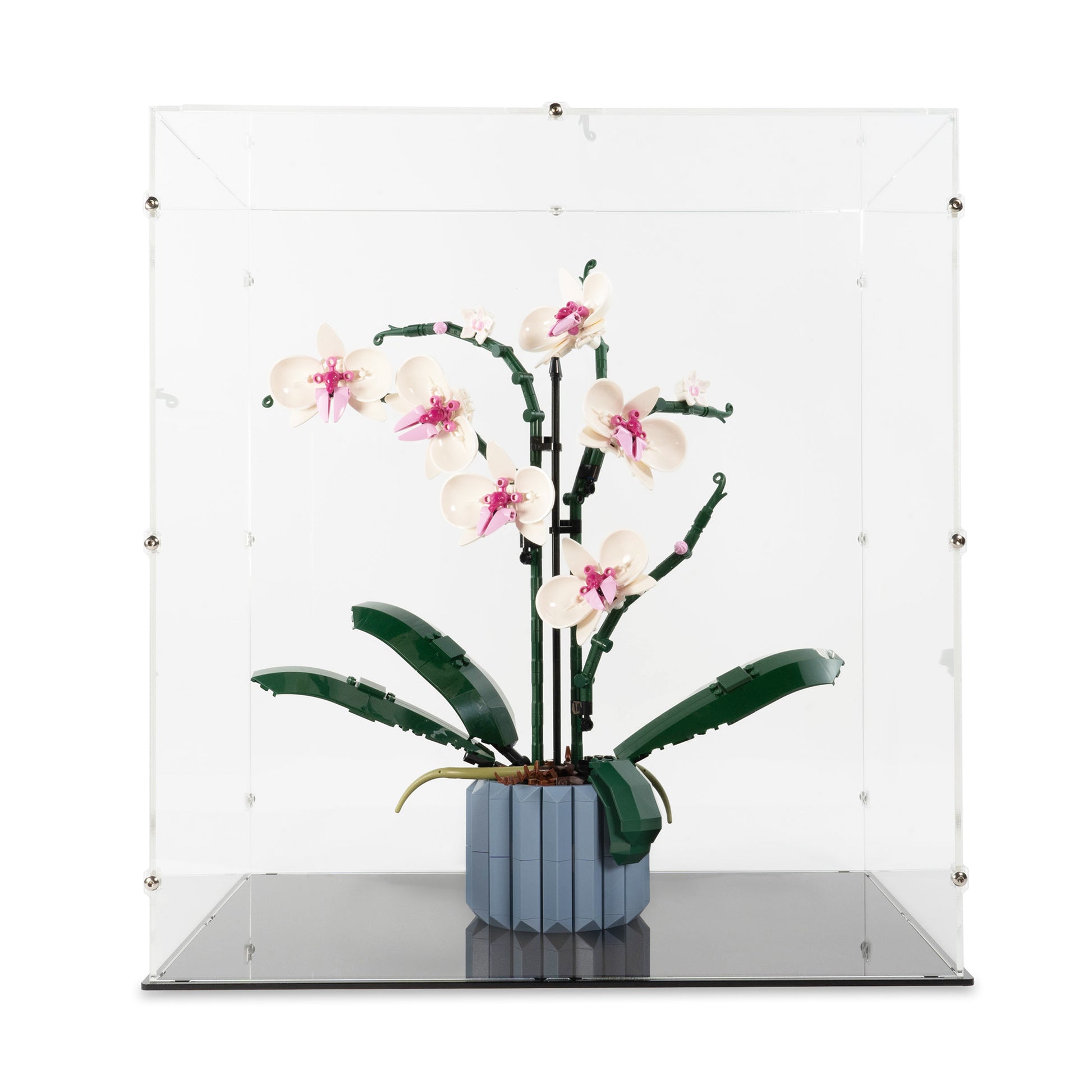 Acrylic Display Case for LEGO Orchid