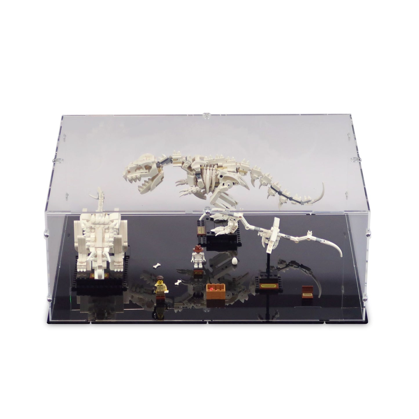 21320 Dinosaur Fossils Display Case